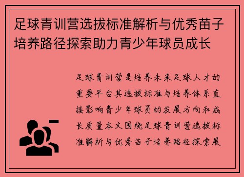足球青训营选拔标准解析与优秀苗子培养路径探索助力青少年球员成长